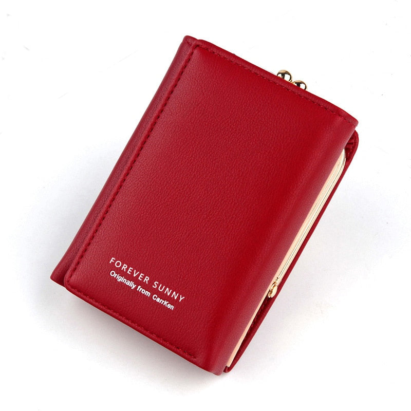 Voluminous Women Wallet