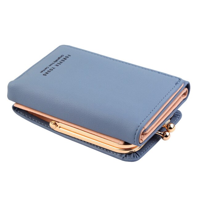 Voluminous Women Wallet