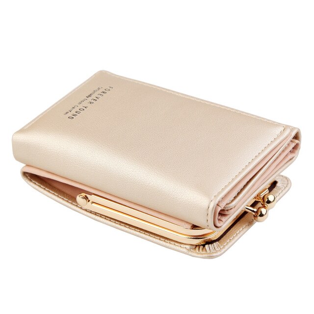 Voluminous Women Wallet