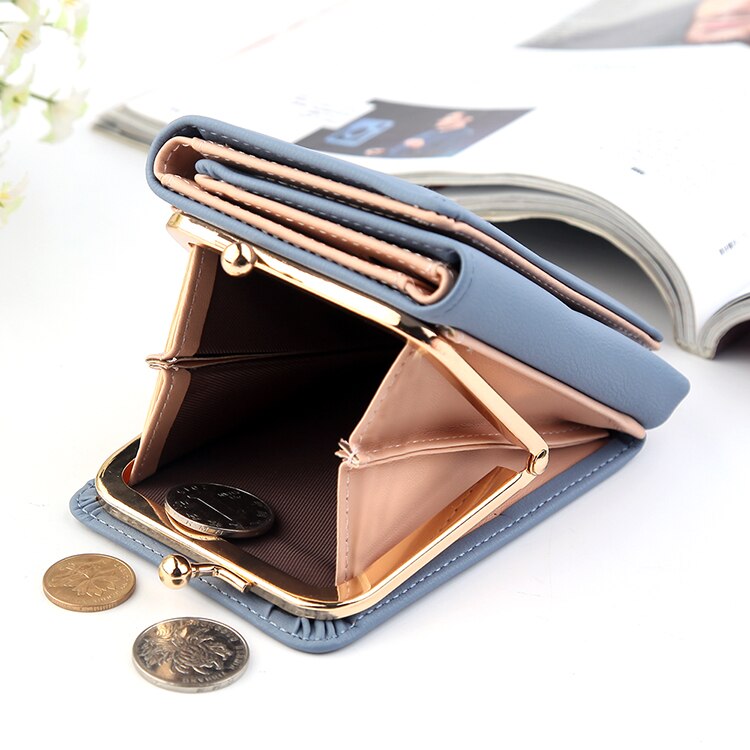 Voluminous Women Wallet